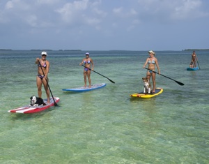 Paddleboarding Key West